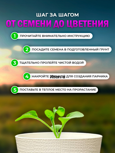 Набор для выращивания петунии "Канон" фото 3 Набор для выращивания петунии "Канон" фото 3