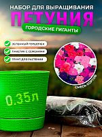 Набор для выращивания петунии "Городские гиганты" Смесь сортов