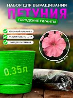 Набор для выращивания петунии "Городские гиганты" Нежность